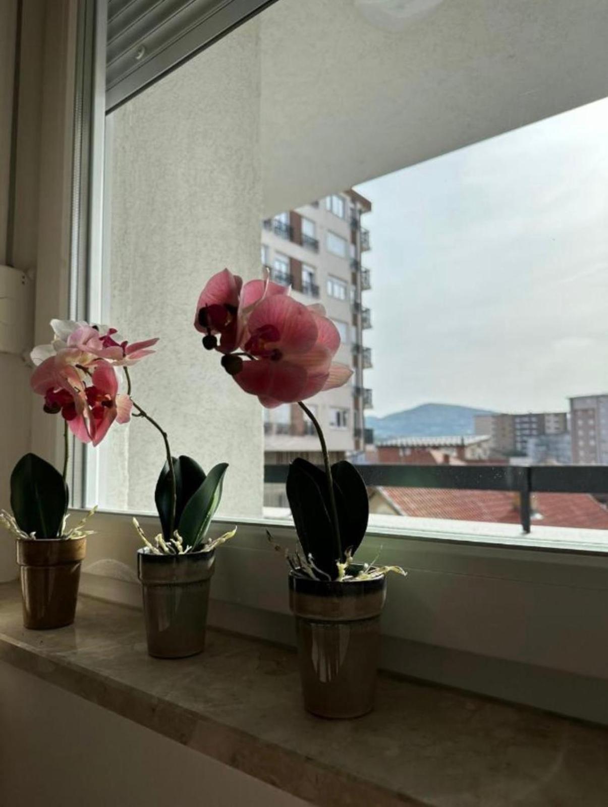 Apartmani Imperial 新帕扎尔 外观 照片